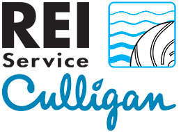 REI Service